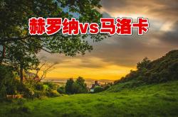 开云体育官网-赫罗纳客场战平马洛卡的简单介绍