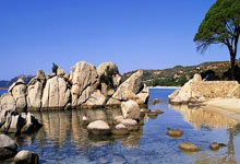 开云APP-包含比利时轻取荷兰，阿尔瓦雷斯关键制胜的词条