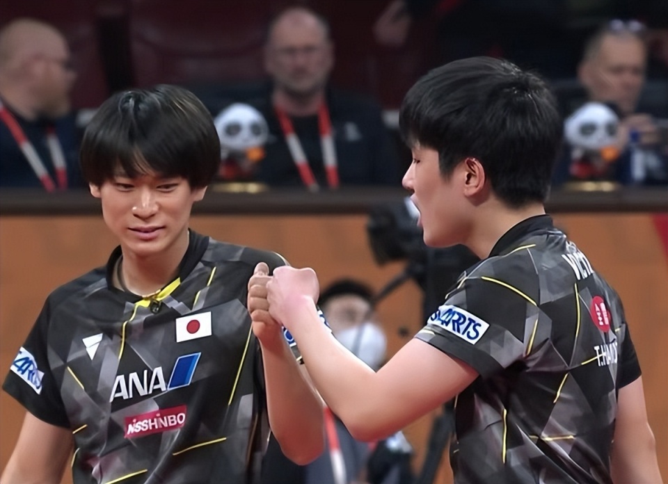 关于奥地利队翻盘德国队，张本智和惊艳四座的信息