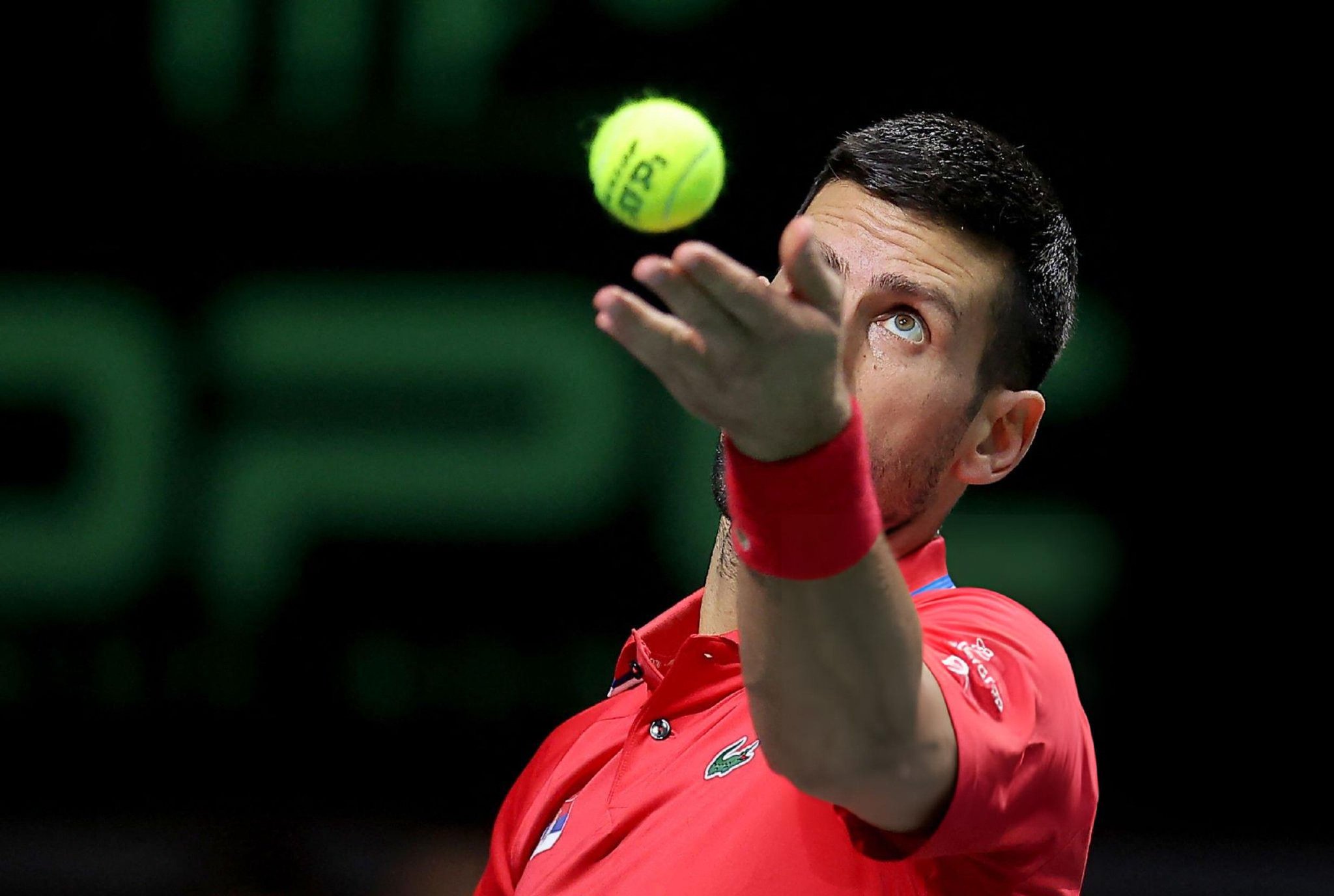 包含年终总决赛力克戴维斯杯，德约科维奇点燃赛场的词条